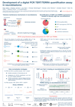 Development of a digital PCR TERT/TERRA quantification assay in neuroblastoma