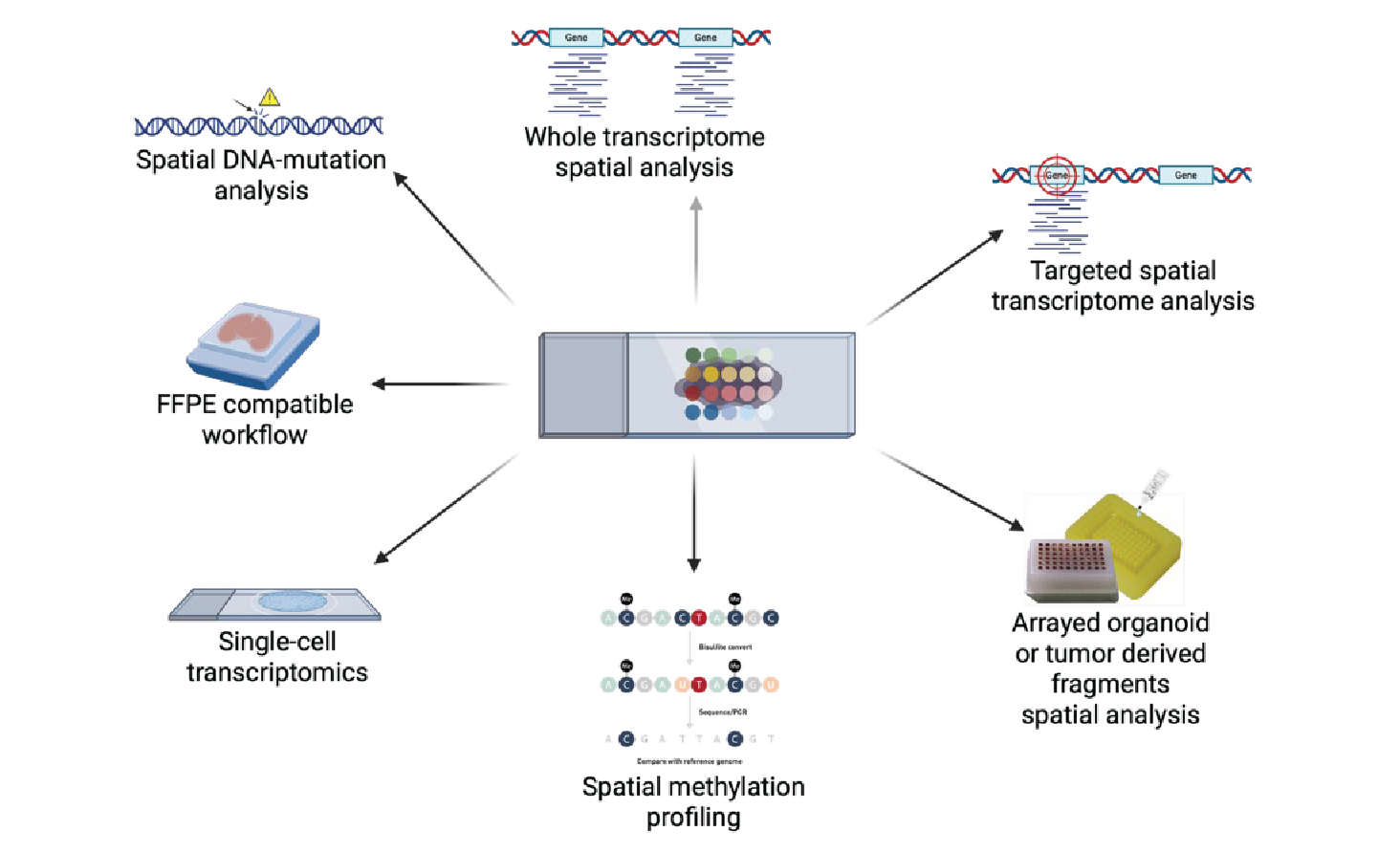 Figure 2: Overview of applications for spatial transcriptomics