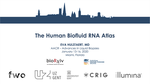 The Human Biofluid RNA Atlas